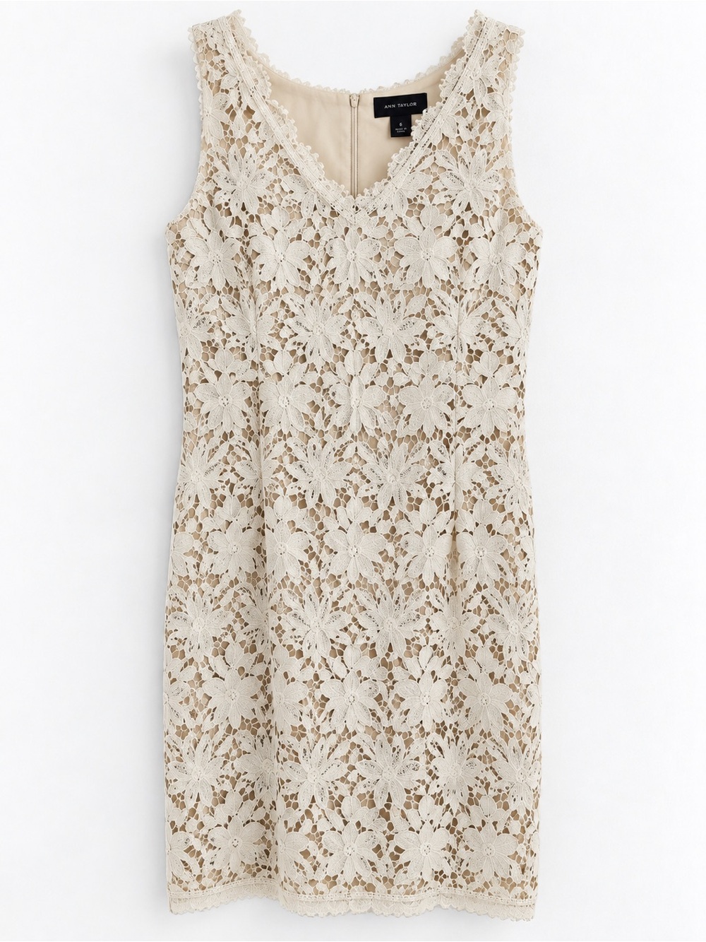 Ann Taylor Ivory Floral Lace Sheath Dress Size 6
